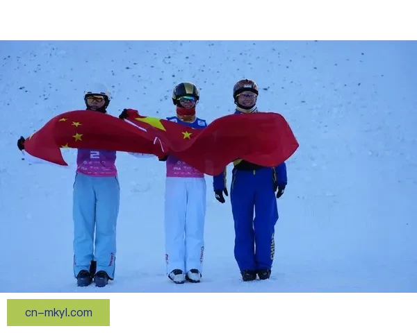 再添一铜中国队空中技巧混团铜